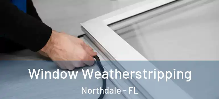 Window Weatherstripping Northdale - FL